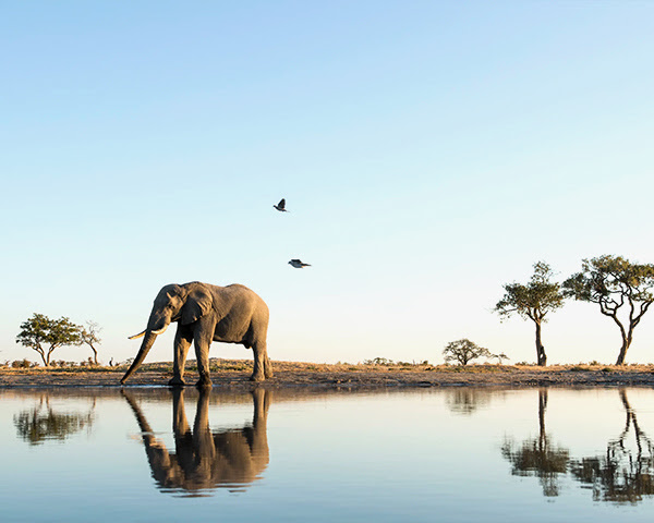 A&K Sanctuary Botswana Safari 